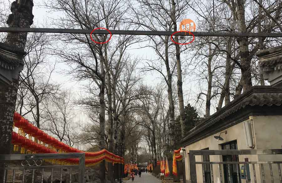 圆明园全面采用我司客流统计系统管理园区客流(图2)