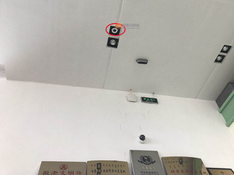 博物馆怎么统计客流量?内蒙古恐龙博物馆采用我司客流统计和客流分析系统管理客流量(图5) 内蒙恐龙 2.jpg