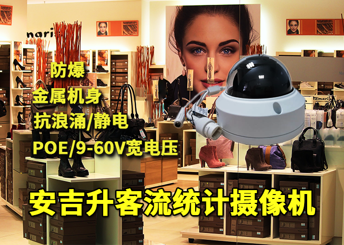 安吉升店铺客流量计数器(对视频进行客流统计分析的软件)(图1) 半球x-1.png